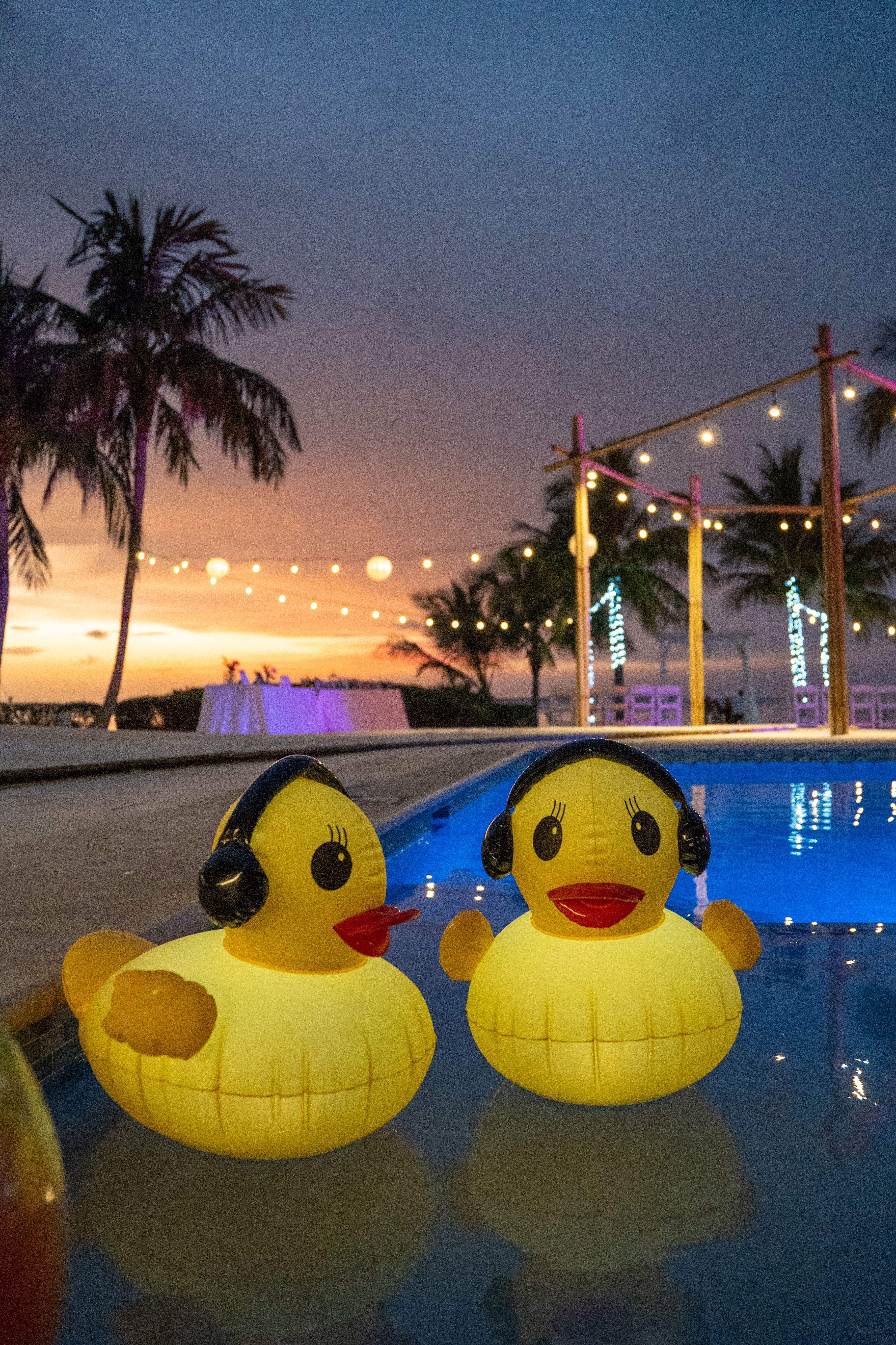 Lit rubber ducks in swimming pool at sunset